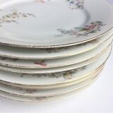 Porcelain plates from Limoges