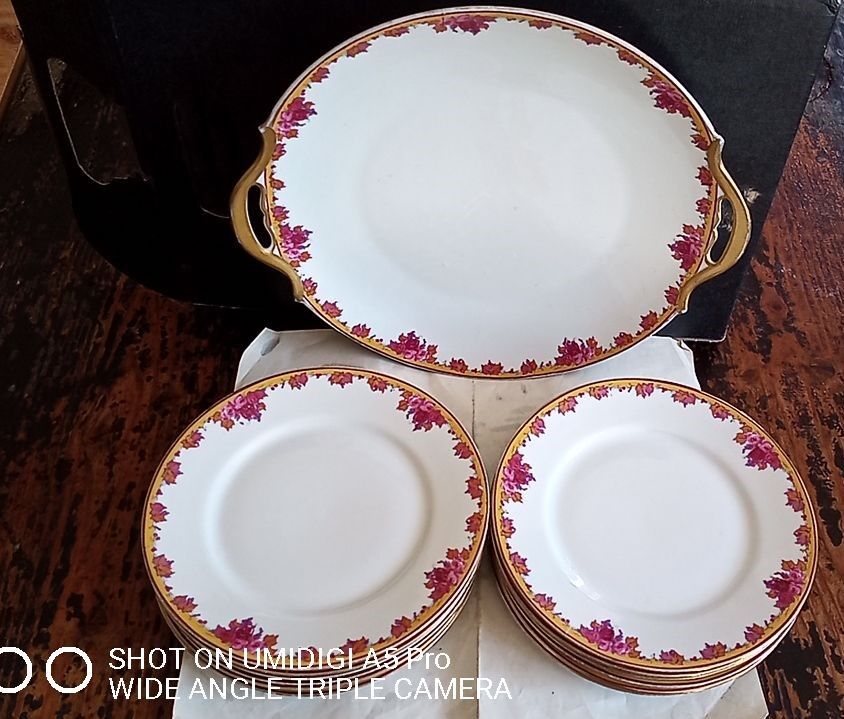 Limoges porcelain by André François (1919-1934) - 12 plates + 1 dish