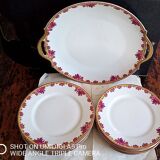 Limoges porcelain by André François (1919-1934) - 12 plates + 1 dish