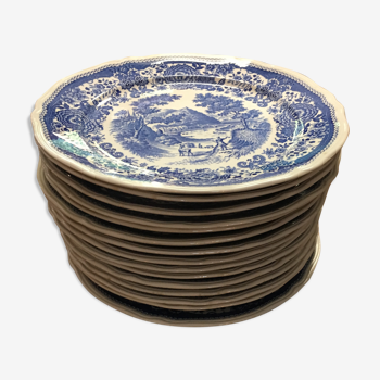 15 Villeroy and Boch plates
