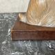Terracotta dog signed R. Pollin