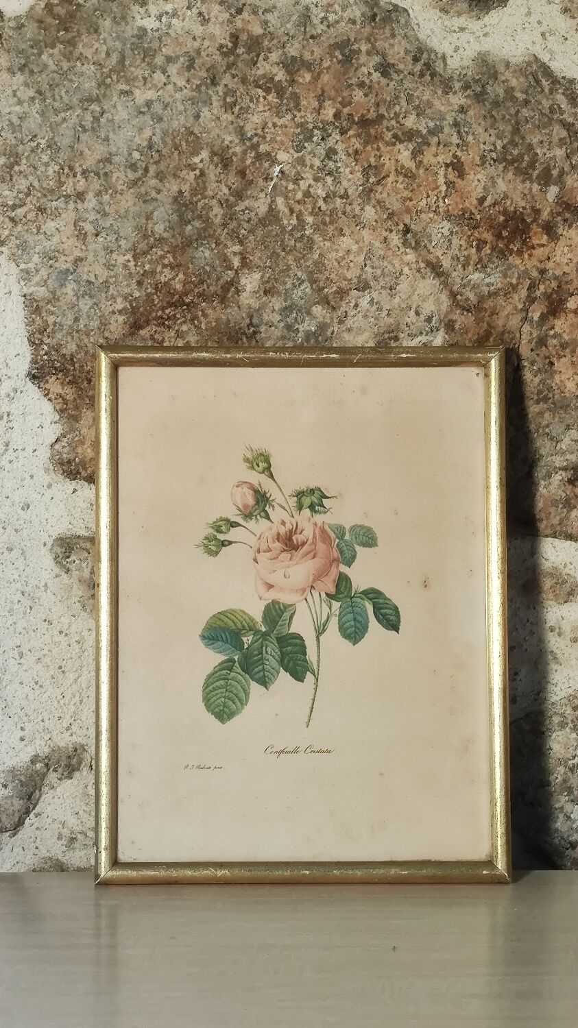 Floral illustration
