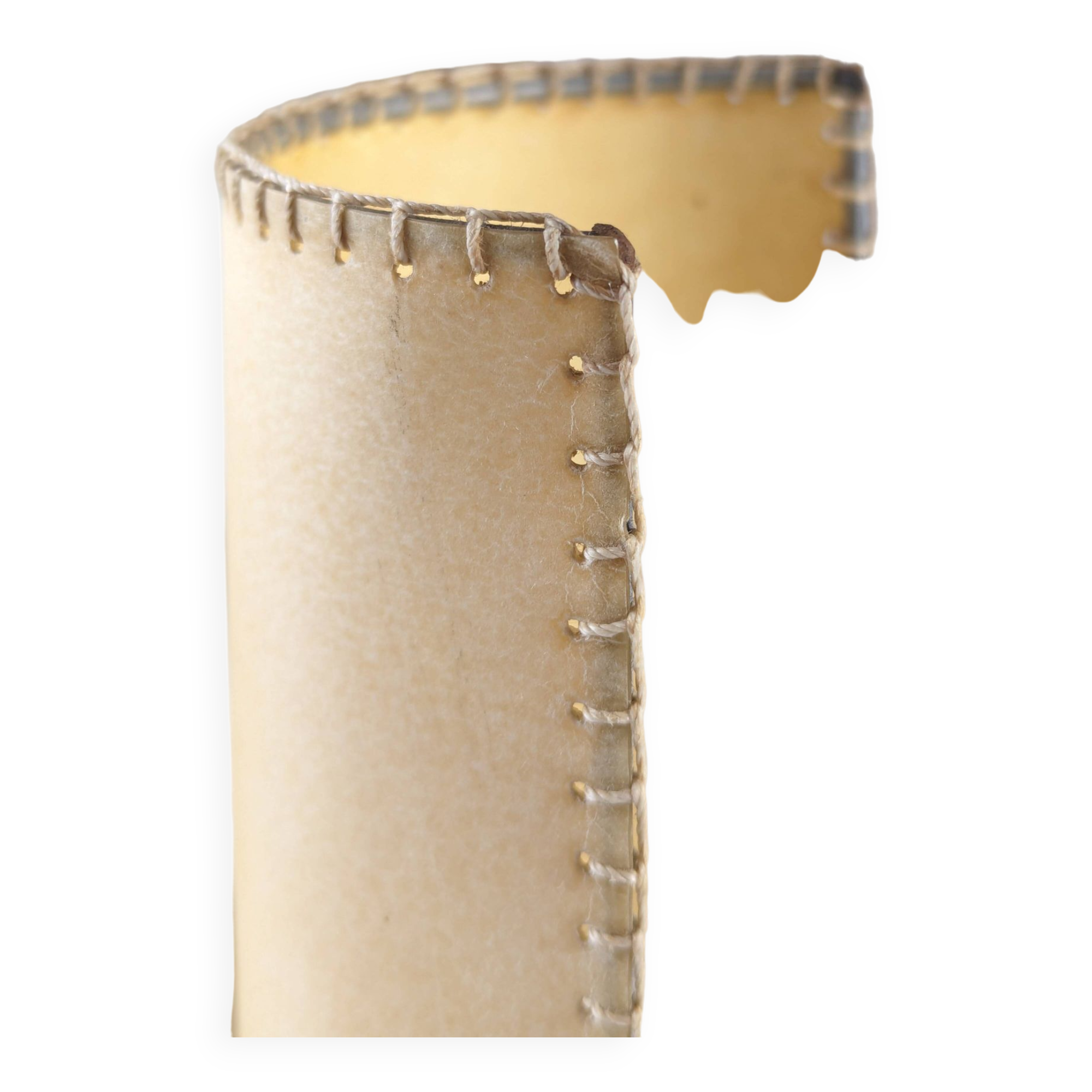 Pair of wall sconces with parrots and leaves