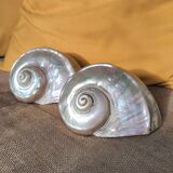 Mother of pearl shells