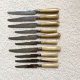 Series of horn knives