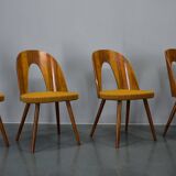 1960s Antonin Suman set of four dining chairs in walnut finish, Czechoslovakia