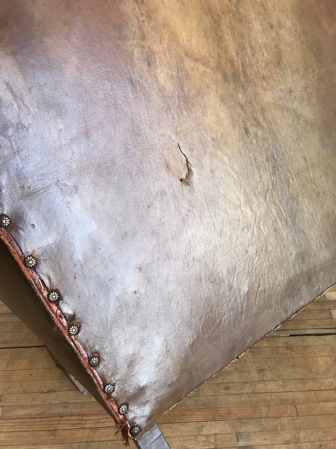 Leather club Armchair