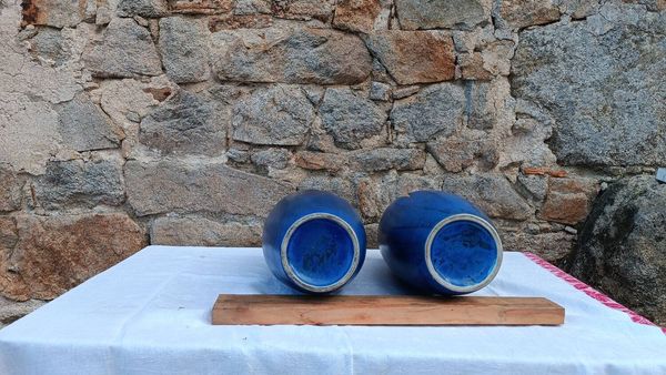 Paire de vases Denbac