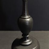 Cabinet of Curiosities shell oxymeris areolata on base