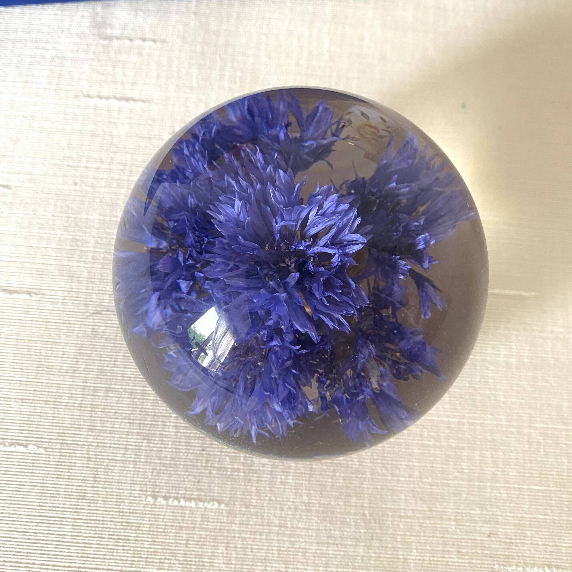 Presse papier  en résine avec un bleuet , Great Britain