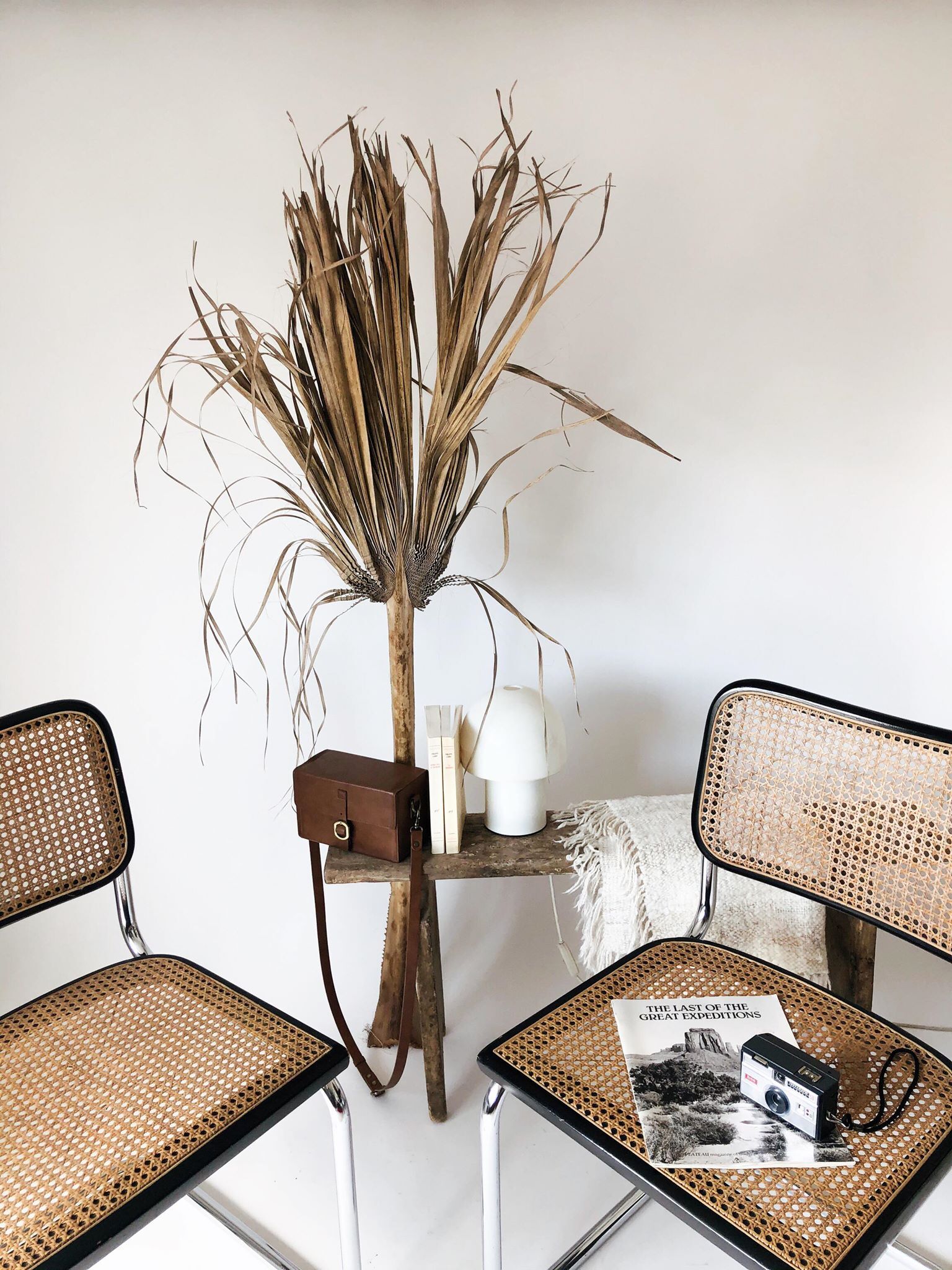 Pair chairs Cesca B32 by Marcel Breuer