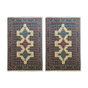 Paire de tapis de zone