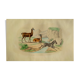 Original zoological plank "Lama - Vigogne - Zebra" Buffon 1848