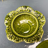 Cabbage bubble