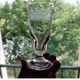 Antique Art Nouveau stemmed glasses