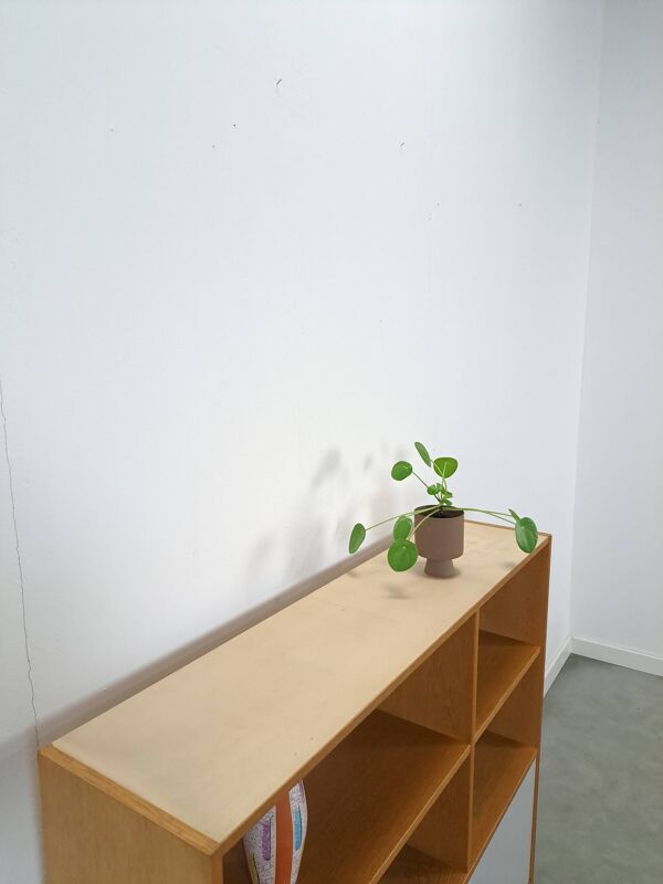 Deens Domino Mobler armoire avec porte à rabat
