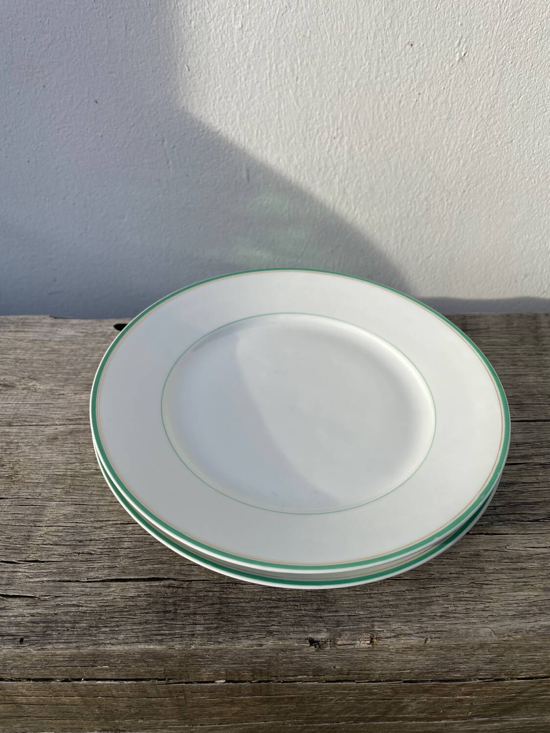 Pair of Parisian porcelain dinner plates