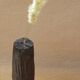 Vase en bois