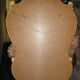 Large gilded mirror Louis XV style with shell.