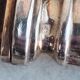 12 cake forks