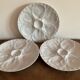 Oyster plates