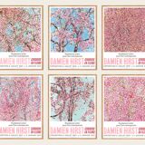 Damien Hirst Cherry Blossom