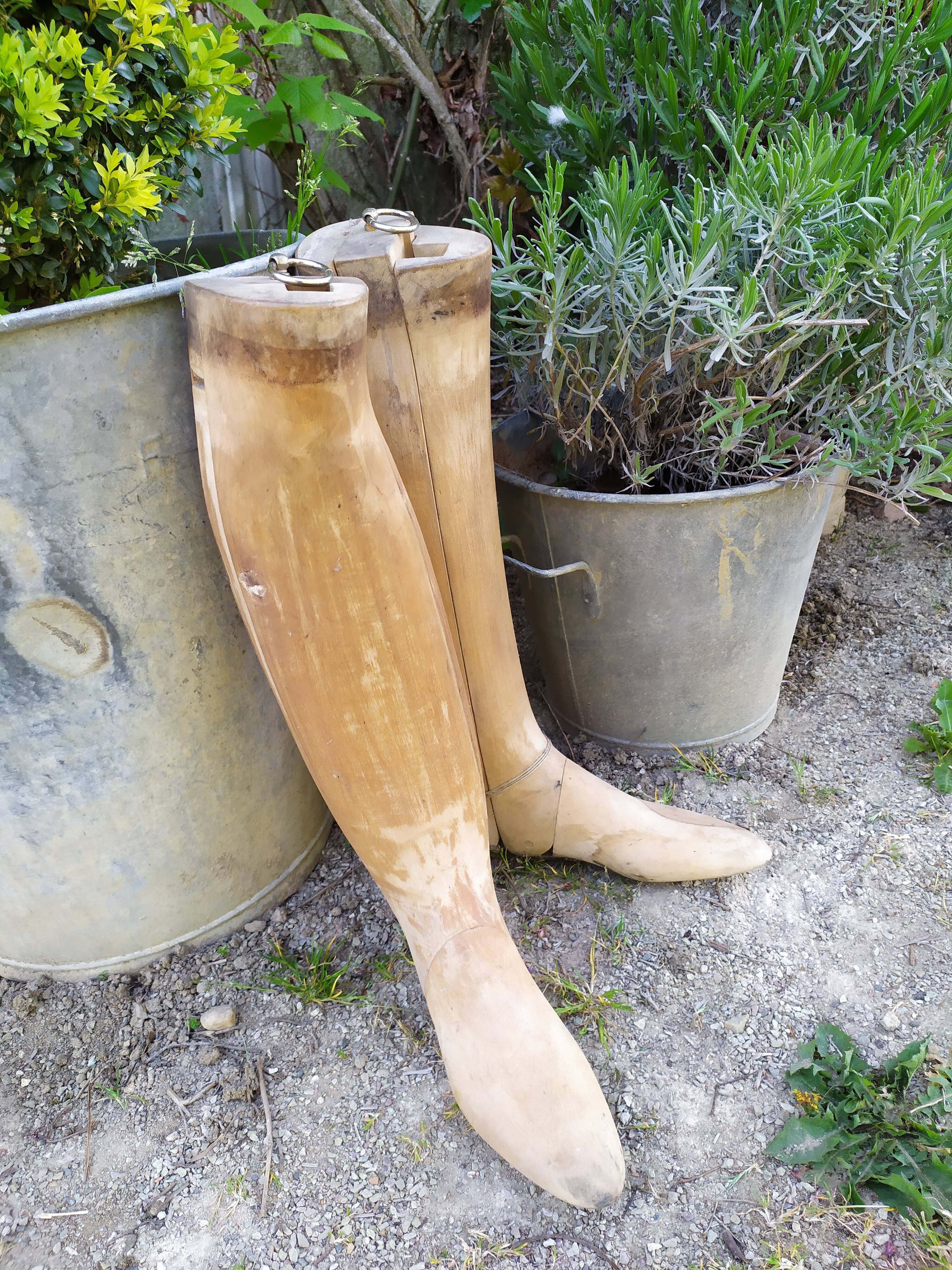 Boot shoe trees