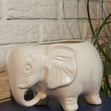 Elephant plant pot