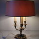 Desk lamp 3 fires style hot water bottle brass and bronze lion's paw deco office living room