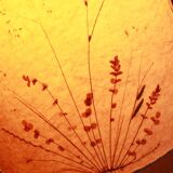 1950s floor lamp in brass and teak/shade with floral motif