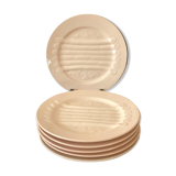 Assiettes asperge