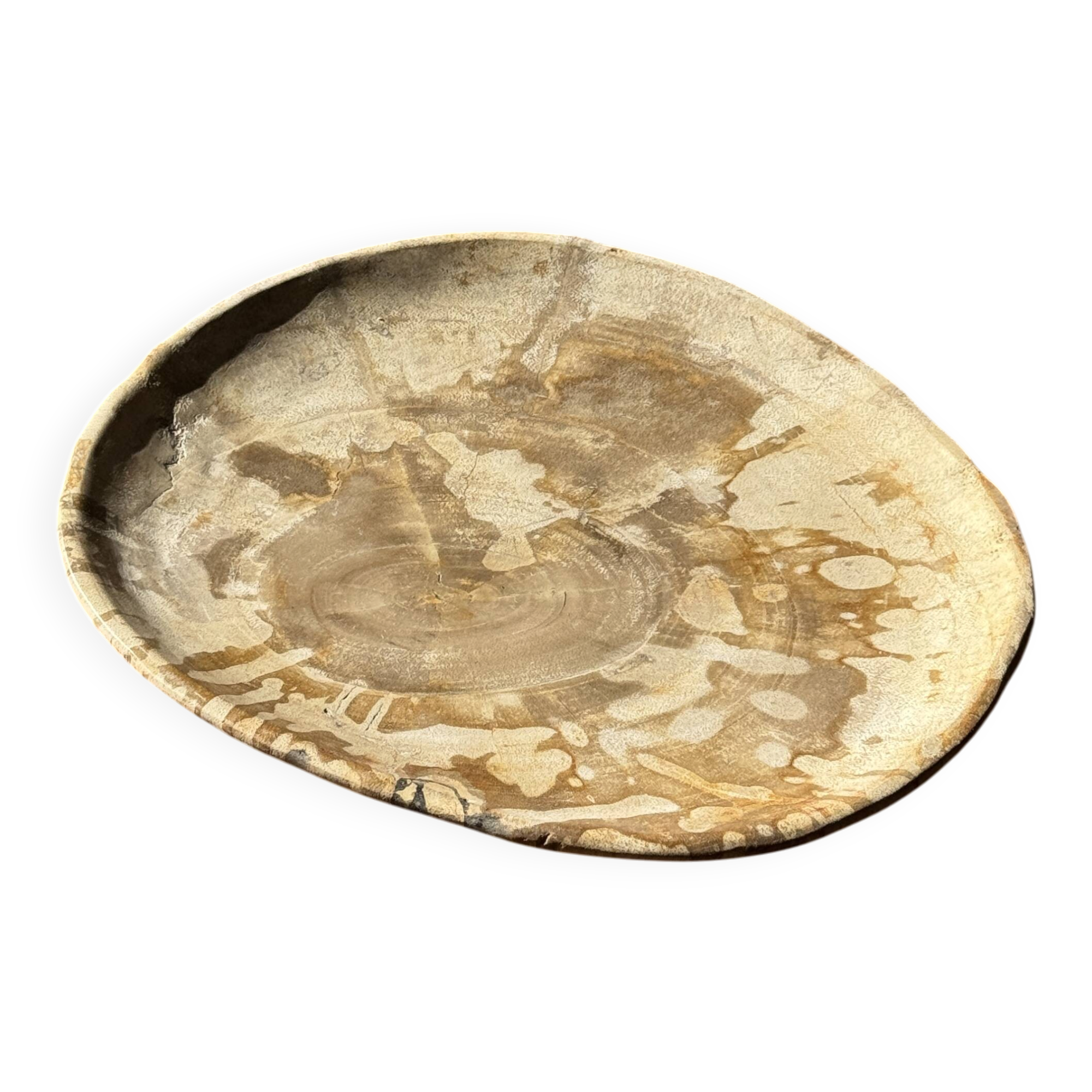 Small pocket tray or dish in speckled beige petrified wood D20 -3309