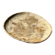 Small pocket tray or dish in speckled beige petrified wood D20 -3309