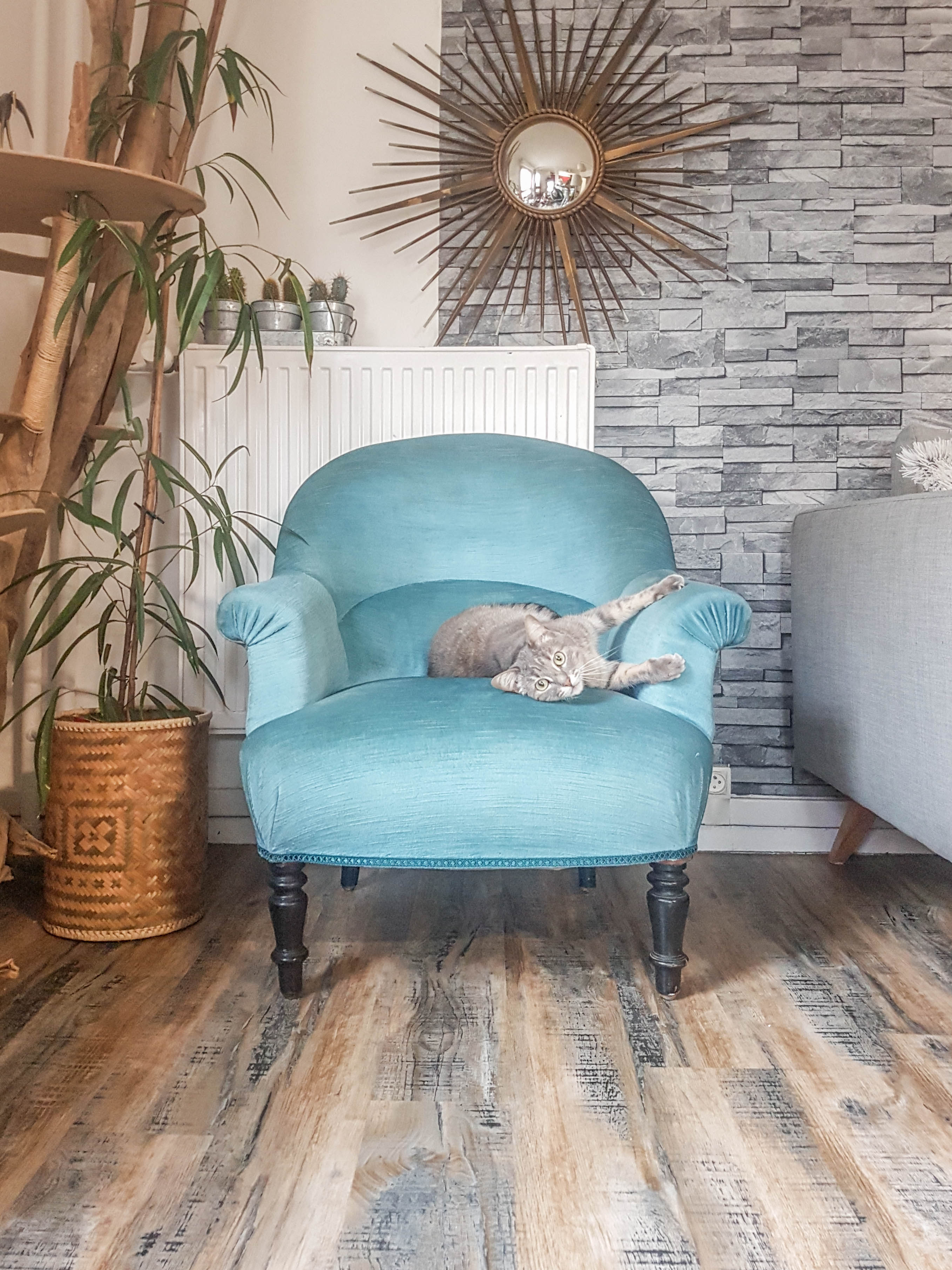 Vintage toad armchair blue velvet 70s