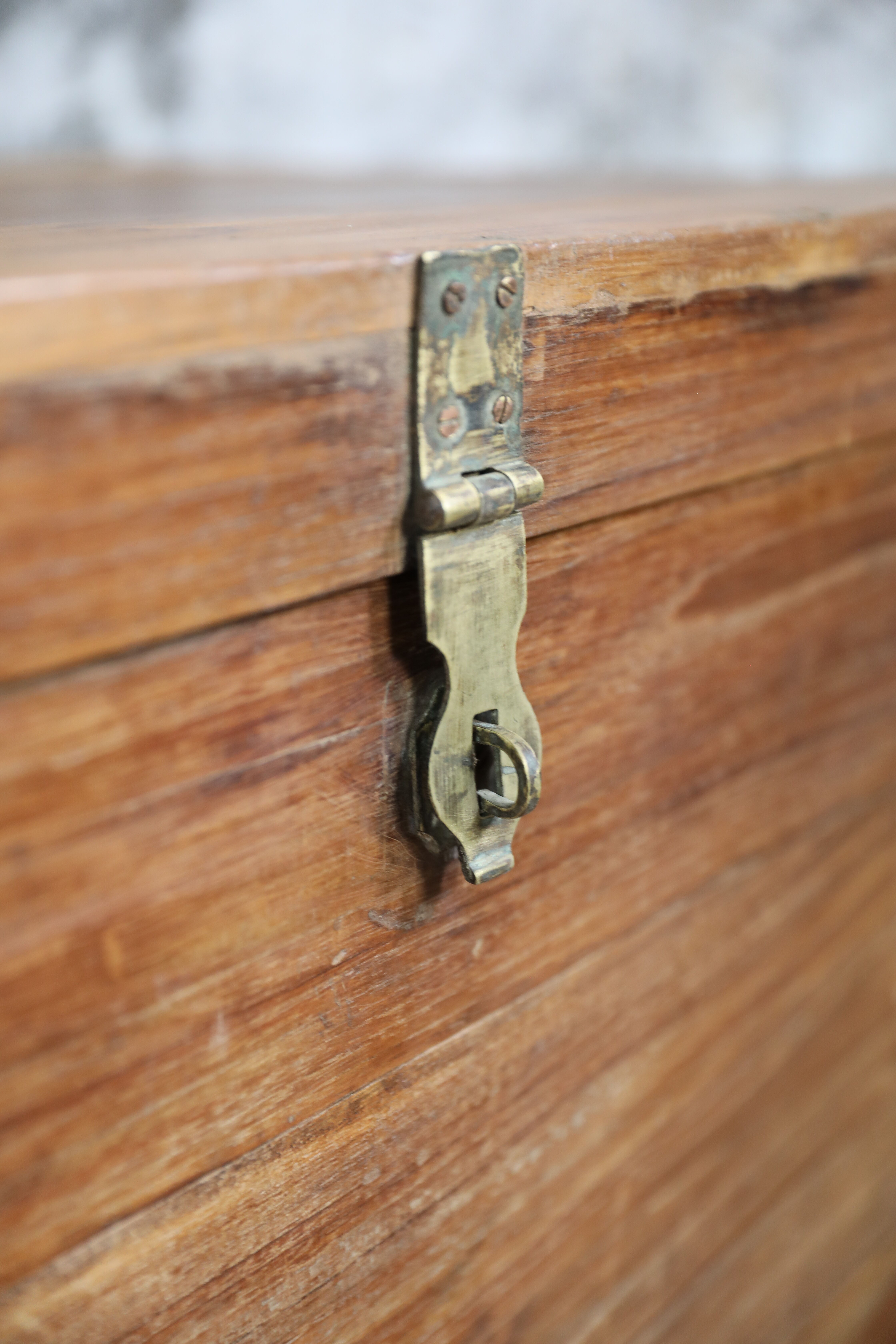 Indian furniture trunk in mango tree with compartment