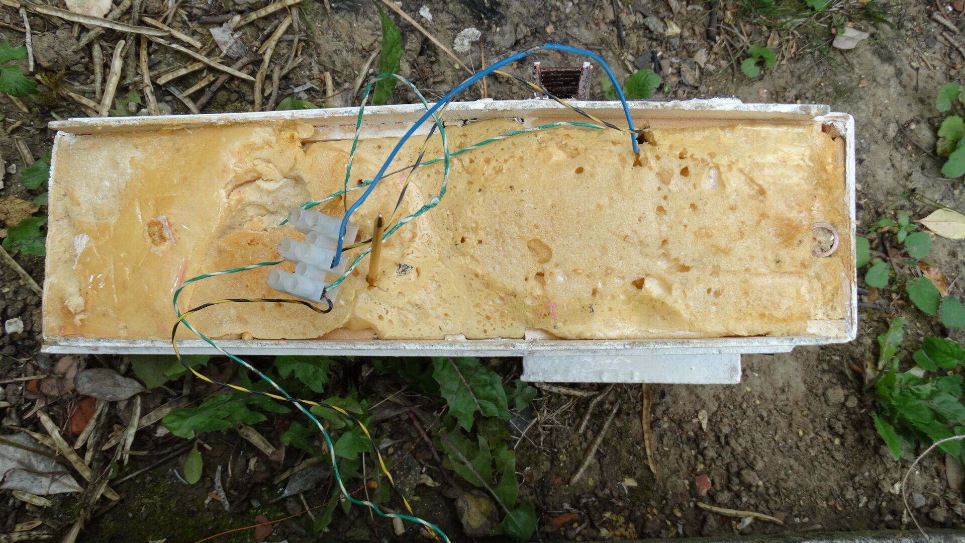 Boat tug bee 22 le havre jouet 70s