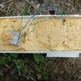 Boat tug bee 22 le havre jouet 70s