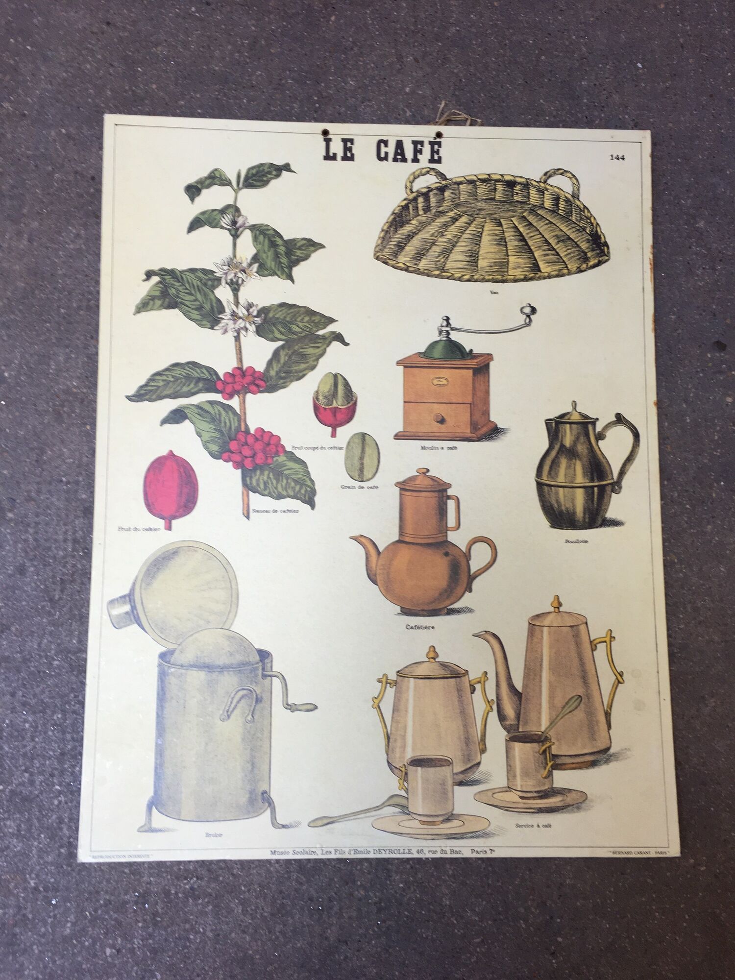 Pedagogical poster "the café" school museum of Emile Deyrolle