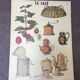 Pedagogical poster "the café" school museum of Emile Deyrolle