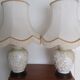 Pair of relief enameled porcelain lamps, Asian motif