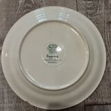 Old flat plate Villeroy and boch