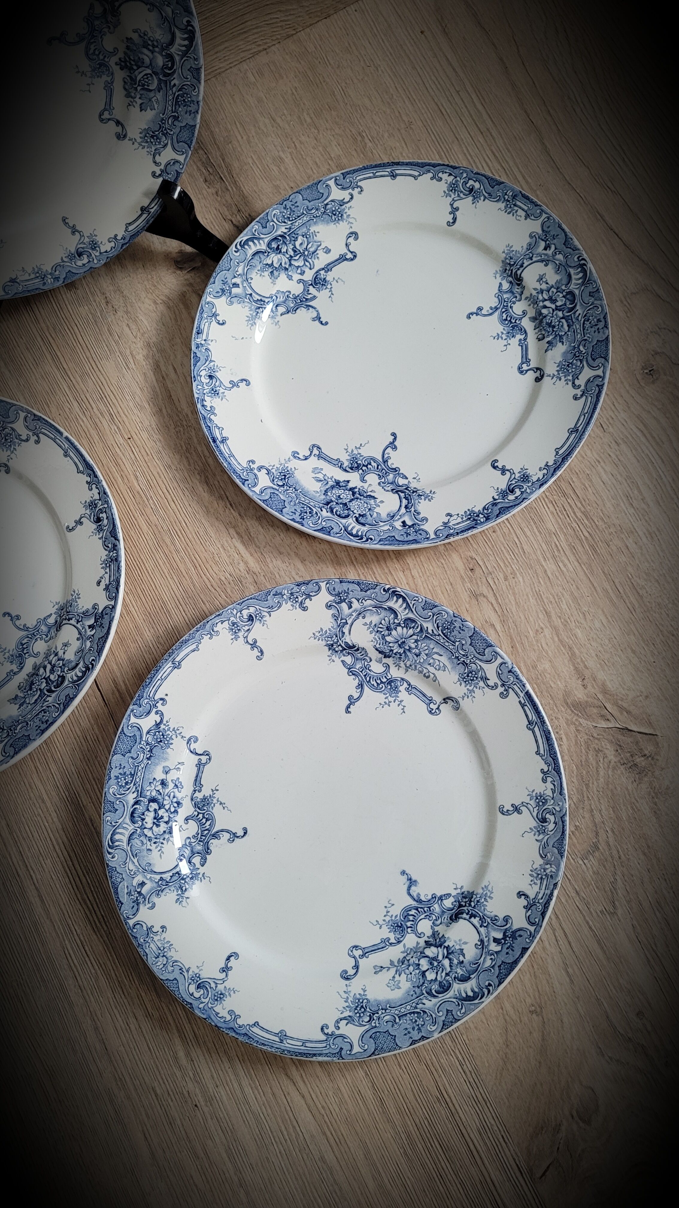 Set 4 Plates Dolphin