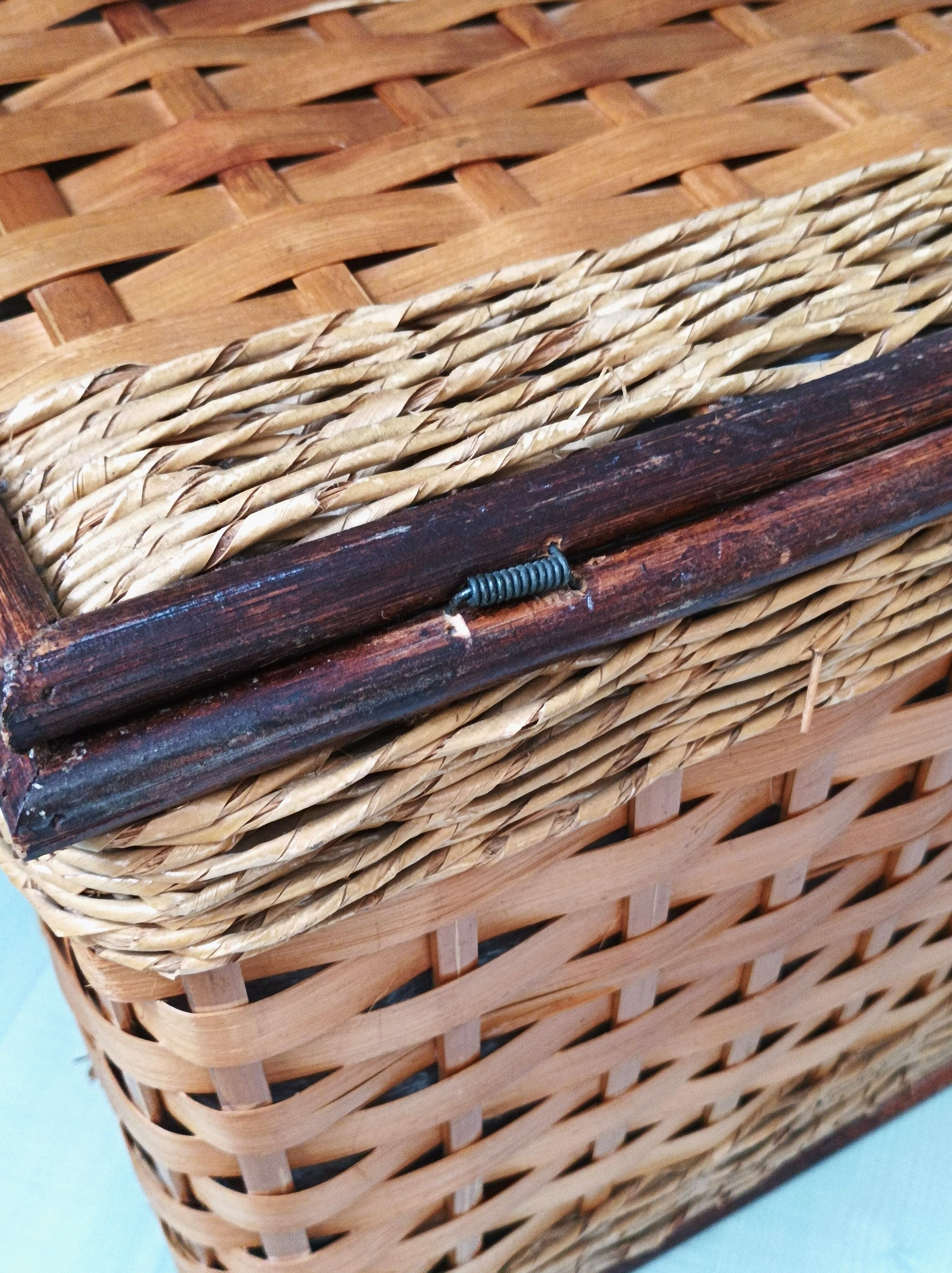 Rattan and wicker trunk