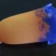 Muller Freres Luneville - Tulip Corolla Orange-Violet Marbled Glass