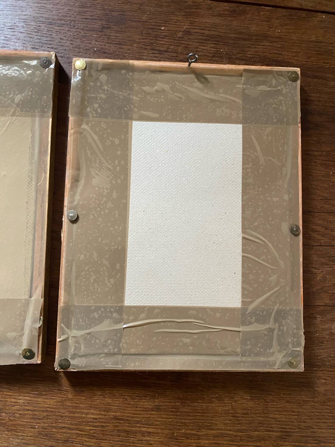 Ornithological frames “birds in cages”.