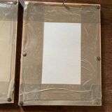 Ornithological frames “birds in cages”.