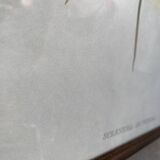 Large ornithological board