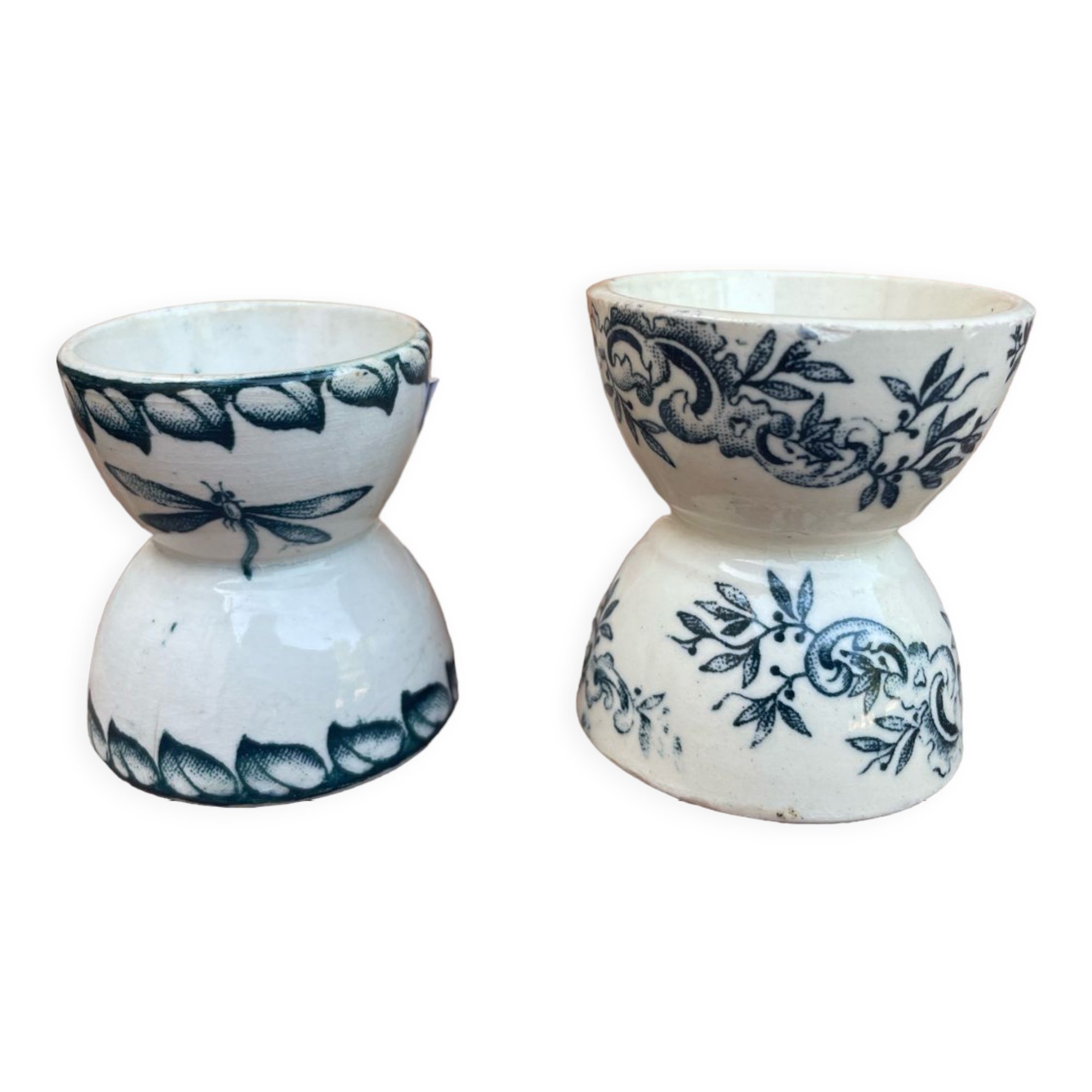 Cockroaches diabolo Terre de Fer