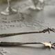 Antique sugar tongs