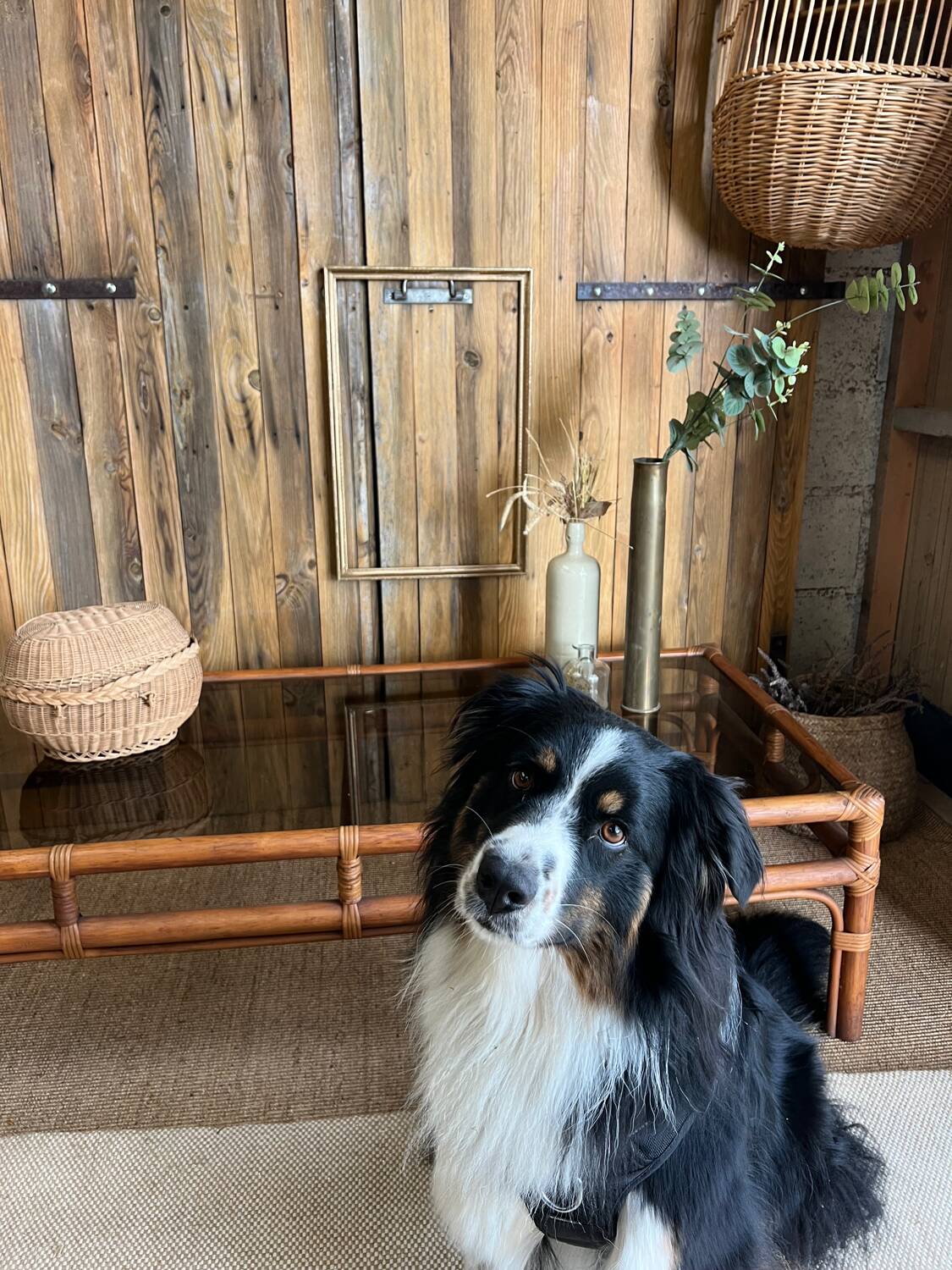 Large bamboo and smoked glass coffee table